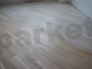 ВЫБЕЛИВАЕМЫЙ ЯСЕНЬ